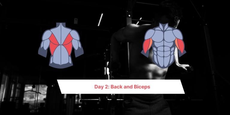 Back and Biceps